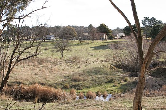 paddocks near Sutton NSW