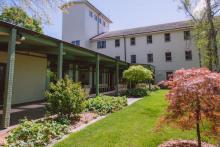 University House gardens