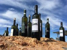 wine bottle against the sky